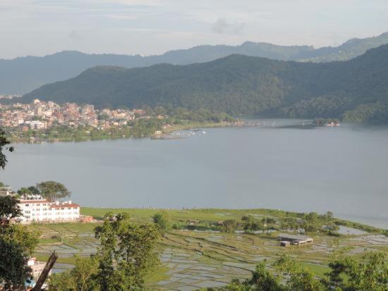Tranquil Water Guest House Pokhara Esterno foto
